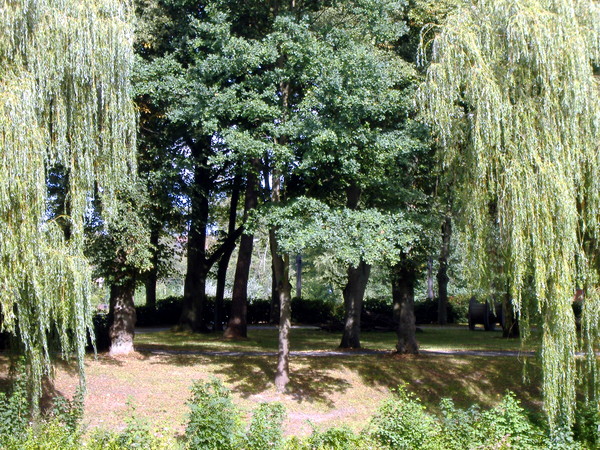 Der Saller See in Freren - dscf3566.jpg dscf3566.jpg