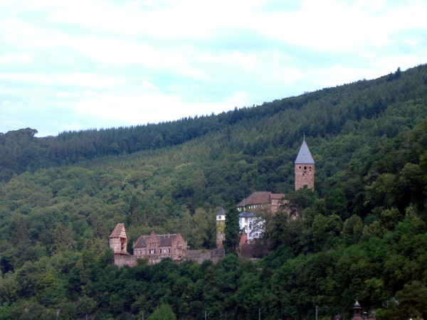 Das Schloss in Heidelberg - 2386.jpg 2386.jpg